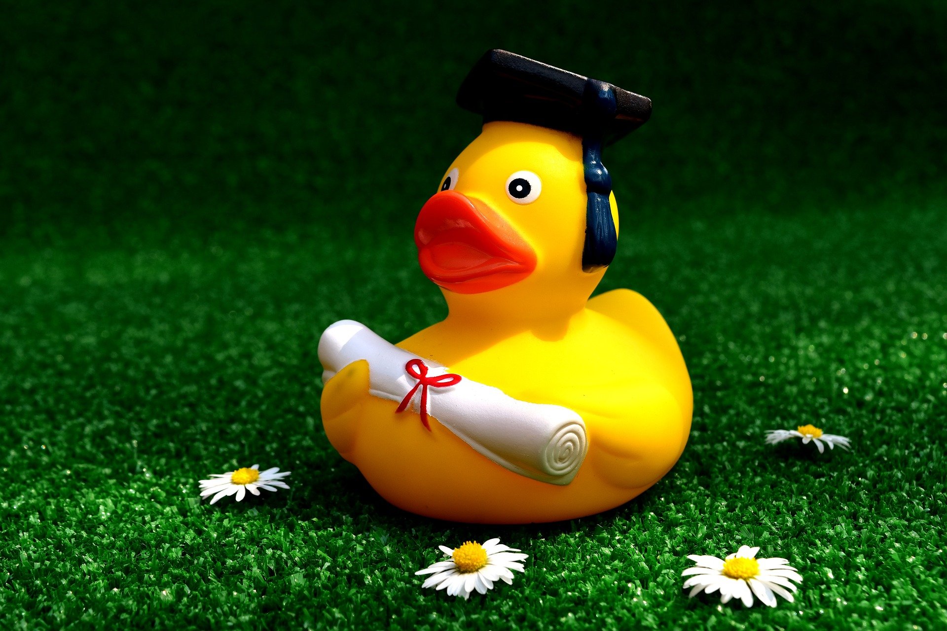 rubber-duck-2821371_1920